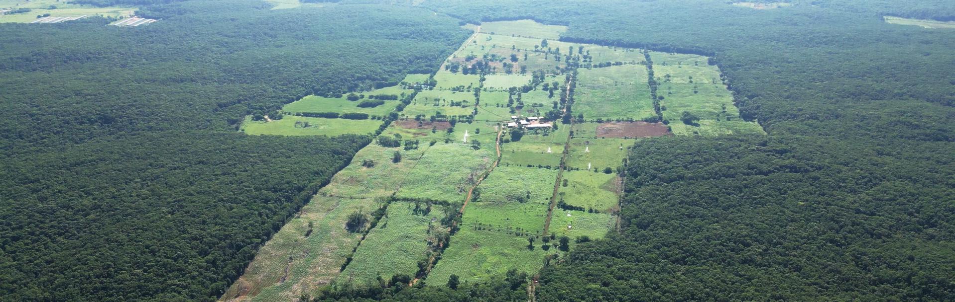 Leading tropical dairy farm operation in the Yucatán Peninsula, Mexico for sale