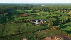 Leading tropical dairy farm operation in the Yucatán Peninsula, Mexico for sale