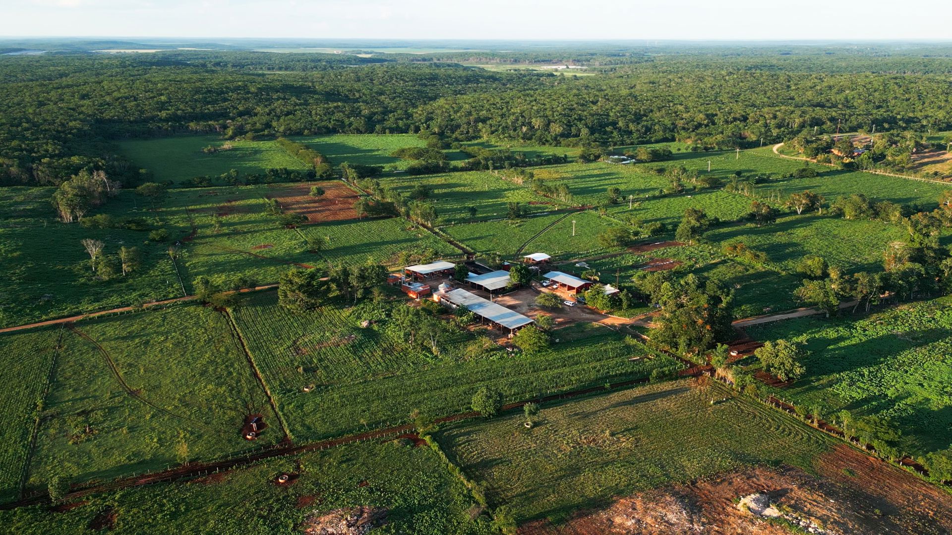 Leading tropical dairy farm for sale in Yucatán Peninsula, Mexico
