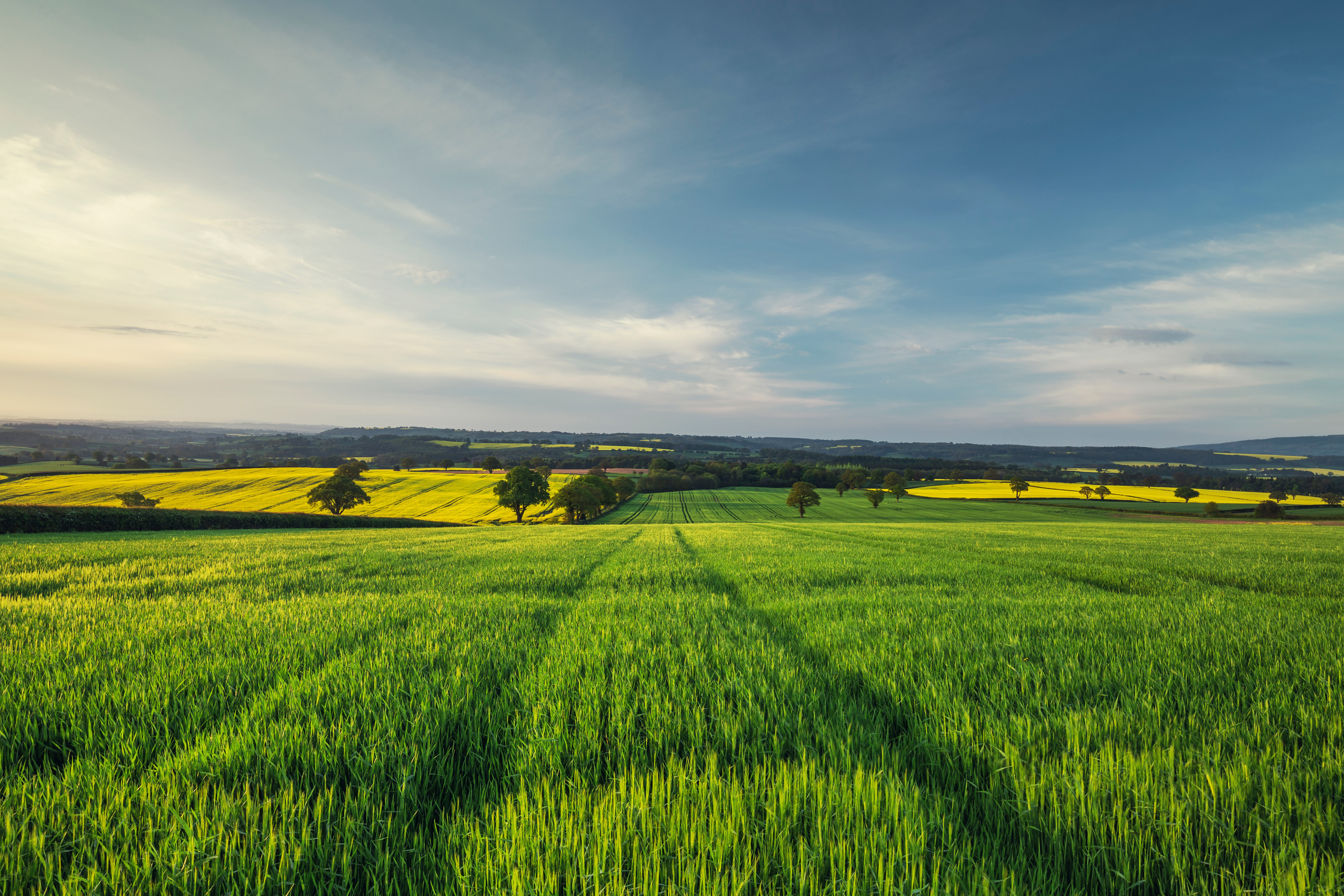 Factors affecting the UK Land Market