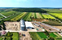 New collaboration sees Brown&Co increase its reach for clients