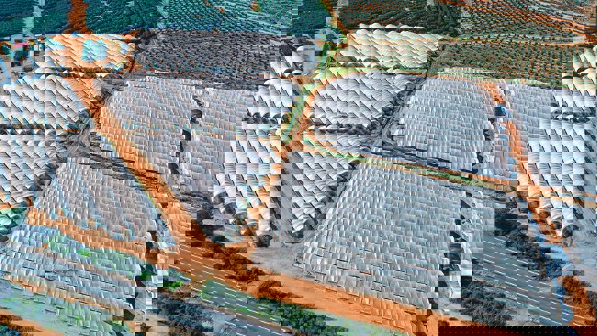 Due Diligence - UK & Portugal