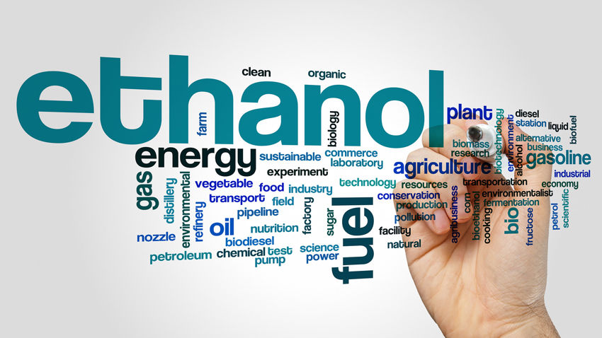 Biomass Feedstock Supply Chain - Croatia