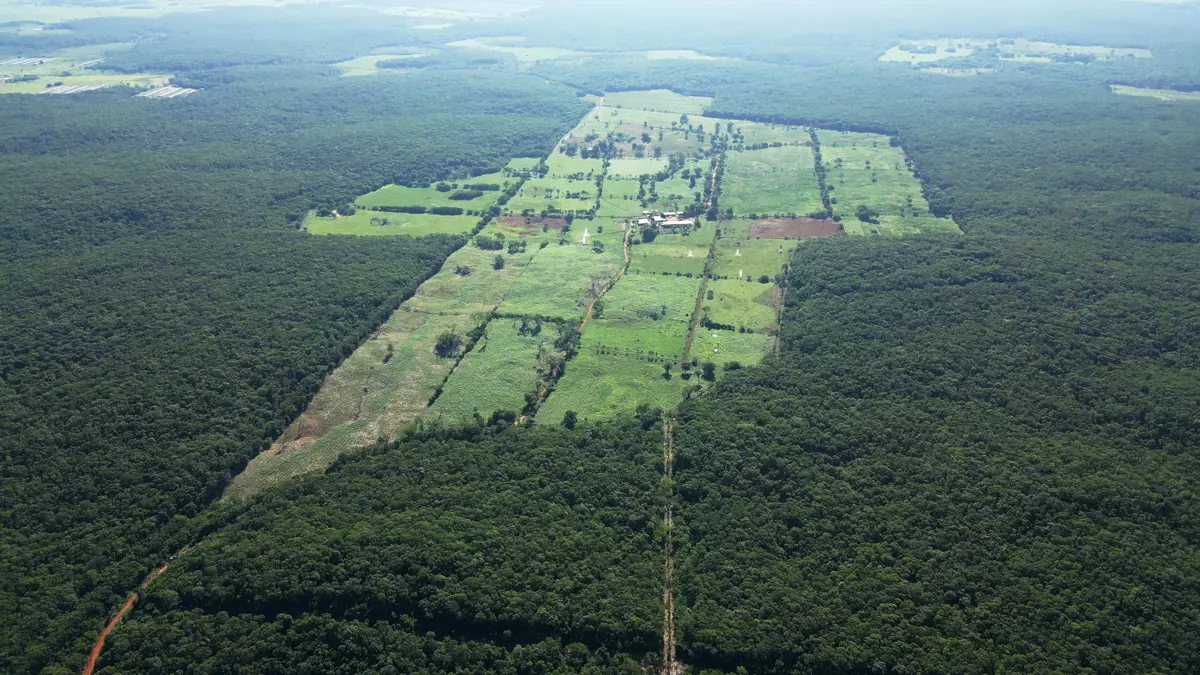 Tropical Dairy Farm For Sale in Mexico with Brown&Co, part of the IAA.