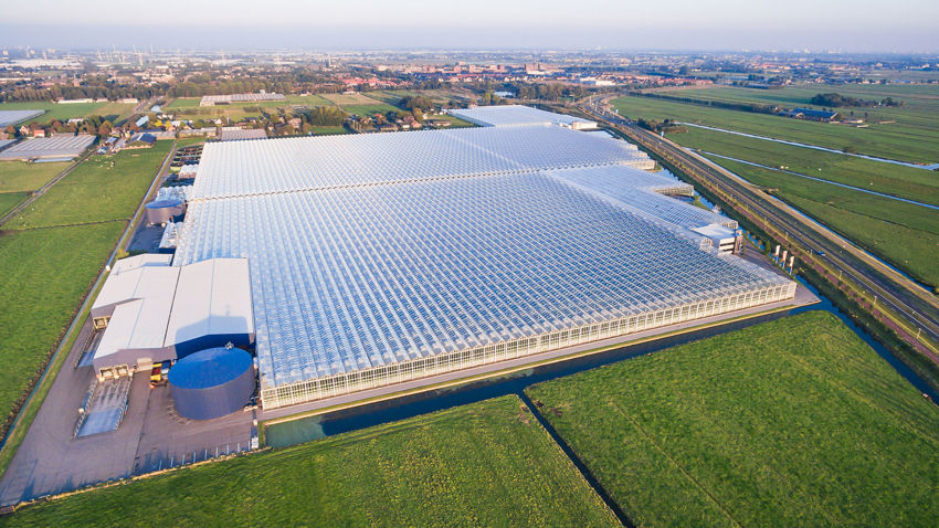 Due Diligence - Netherlands