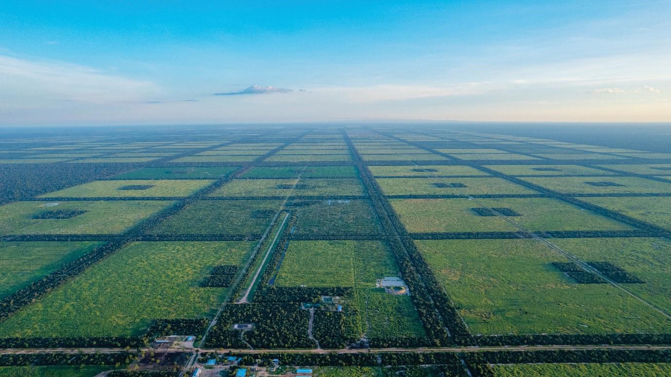 New Carbon Credits law to boost international investment in land in Paraguay